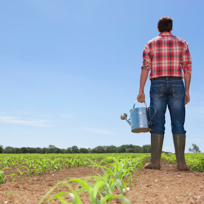 man holding watering can in corn field