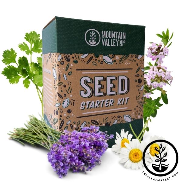 medicinal and herbal tea seed starter kit