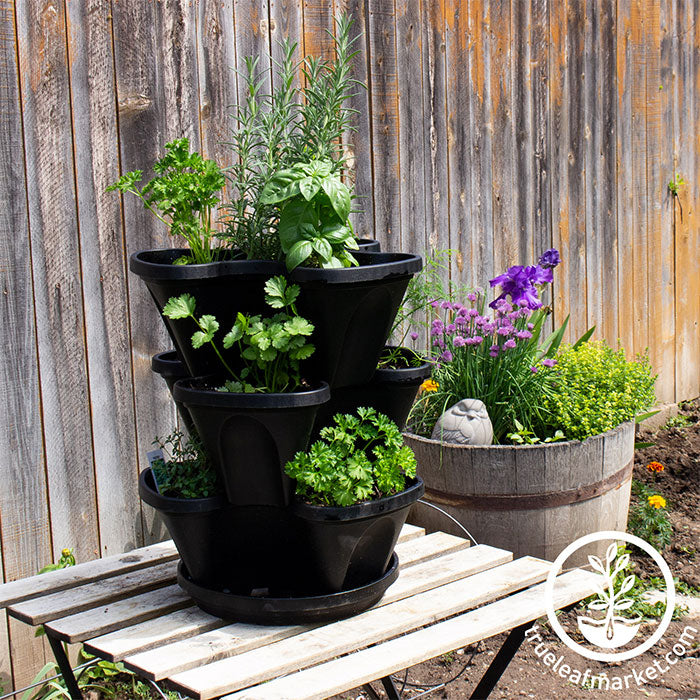 Mini Garden Stacker - Hanging Garden Pot