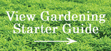 Gardening Starter Guide