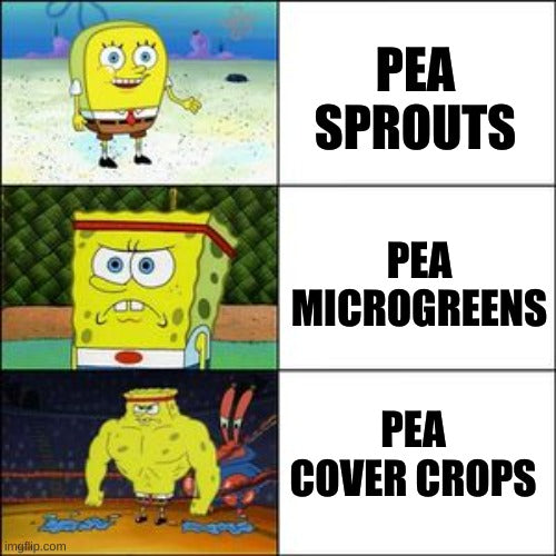 Various Pea Uses Meme