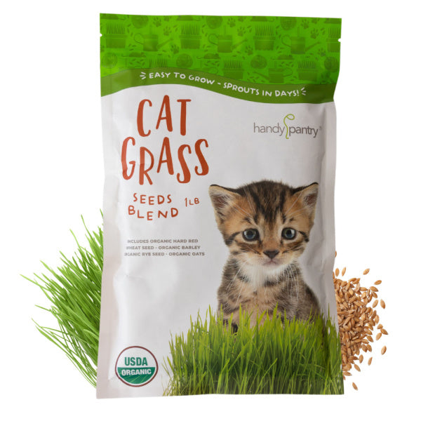 catgrass