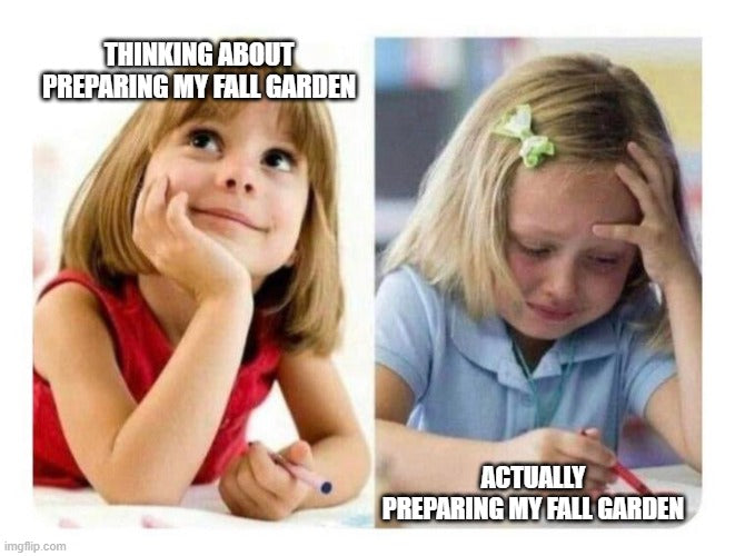 planning the fall garden meme