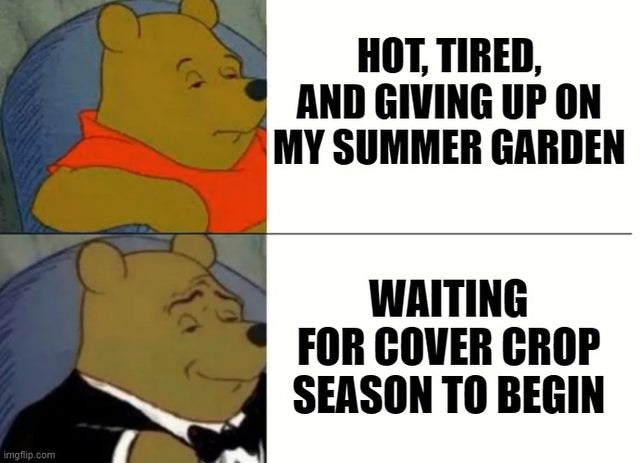 Waiting for cover crops with Pooh bear meme