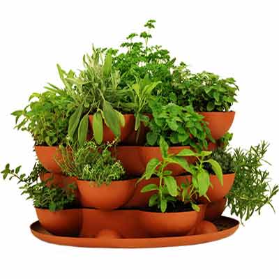 Stack & Grow - Full Grown Herb Garden