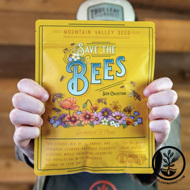 Person Holding Bee Friendly Wildflower Mix Gift Bag