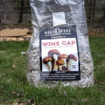 Organic Wine Cap Mushroom Sawdust Spawn