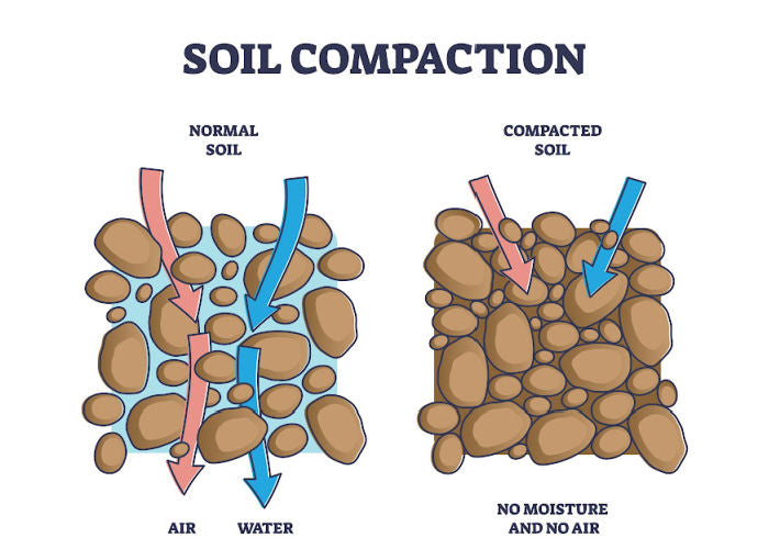 soil compaction diagram
