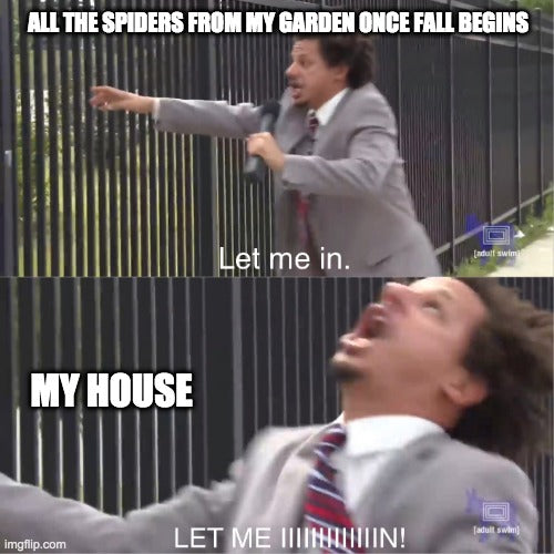 Spiders in your garden