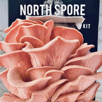 Pink Oyster ‘Spray & Grow’ Mushroom Growing Kit Close Up