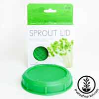 Sprout Lid: Sprouting Jars