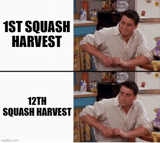 Joey's Squash Harvest Meme