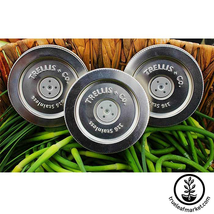 Trellis Stainless steel Fermenting lids