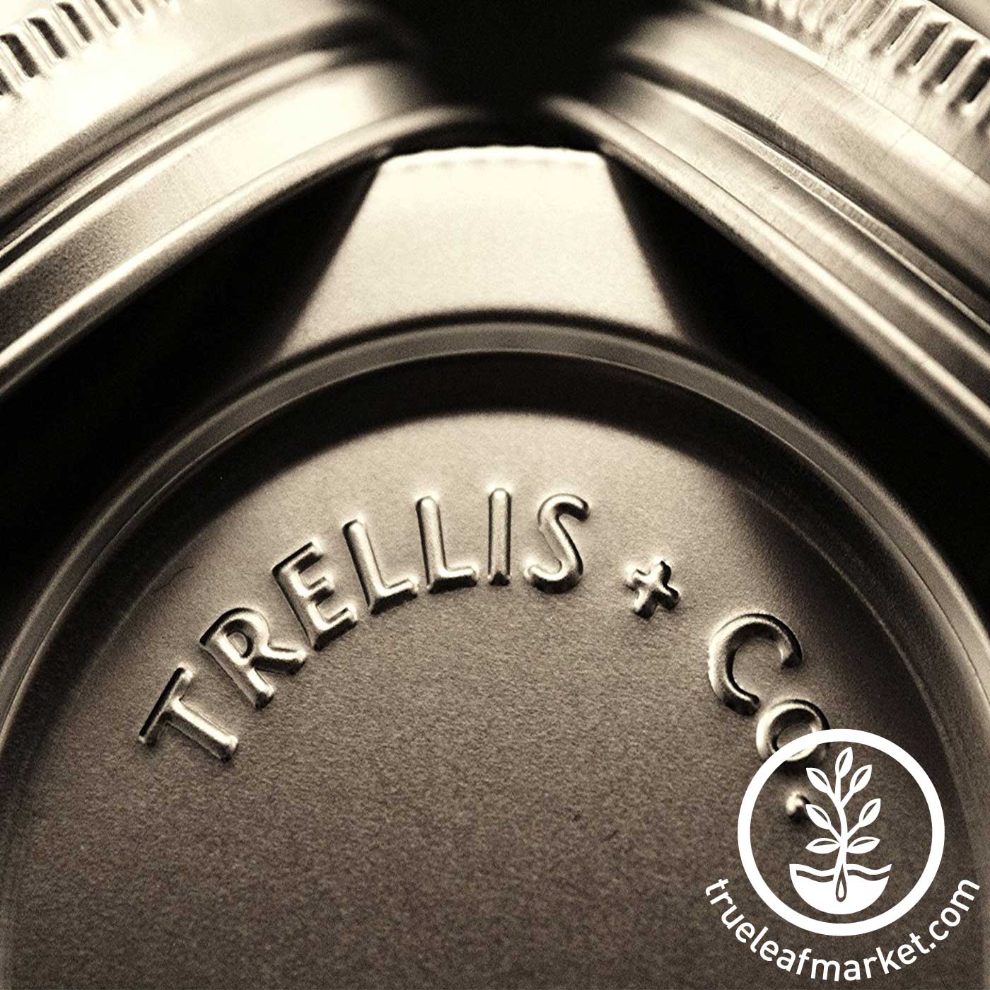 Trellis Stainless steel lids