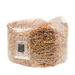Grain Bag With Injection Port