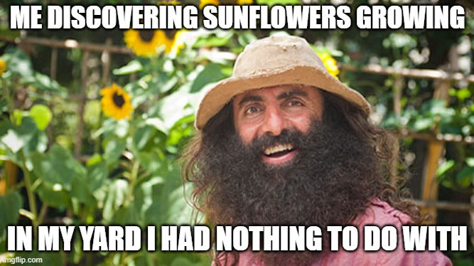 Sunflower man meme