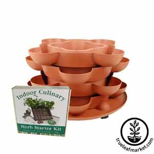 Stack and Grow Planter + Culinary Herb Kit