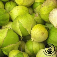 Tomatillo