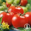 tomato-seeds-stupice