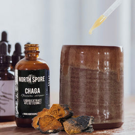 Chaga Mushroom Tincture