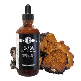 Chaga Mushroom Tincture