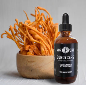 Cordyceps Mushroom Tincture With Mushrooms