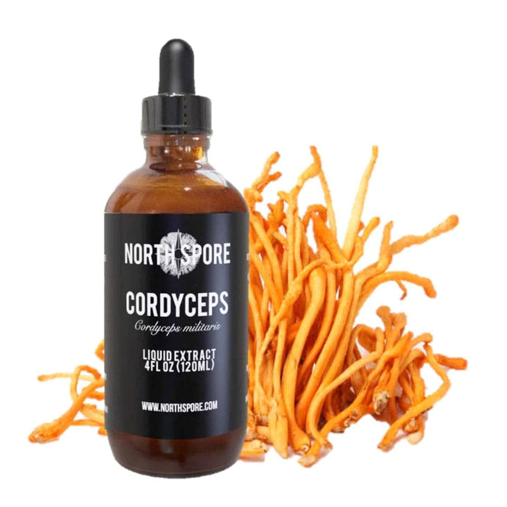 Cordyceps Mushroom Tincture