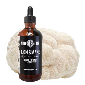 Lion's Mane Mushroom Tincture