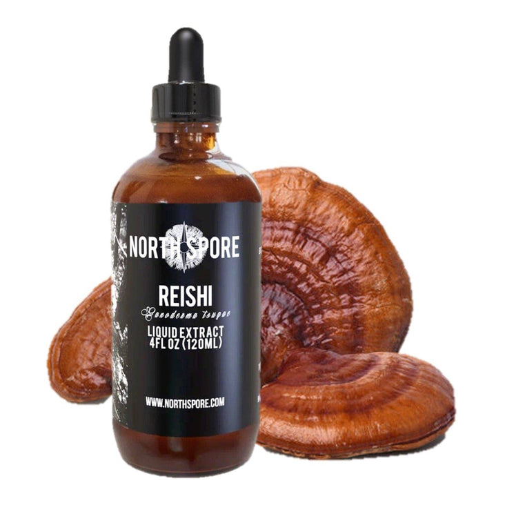 Reishi Mushroom Tincture