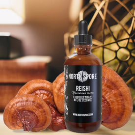 Reishi Mushroom Tincture