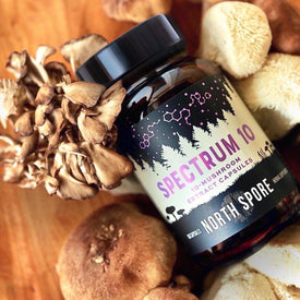 ‘Spectrum 10’ Organic Multi-Mushroom Capsules Bottle on Grown Mushrooms