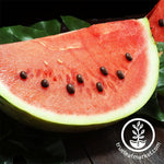 Watermelon Seeds - Black Diamond Yellow Belly