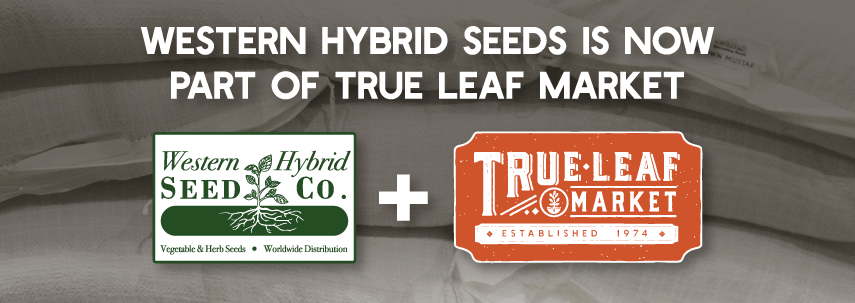 Western Hybrid is now part of True Leaf Market