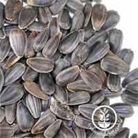 Black Oil Sunflower Seed