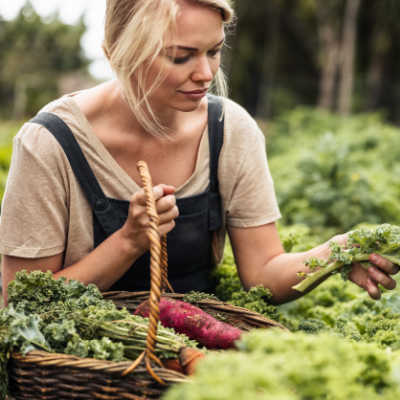 Short Season - Early maturing Vegetable Guide