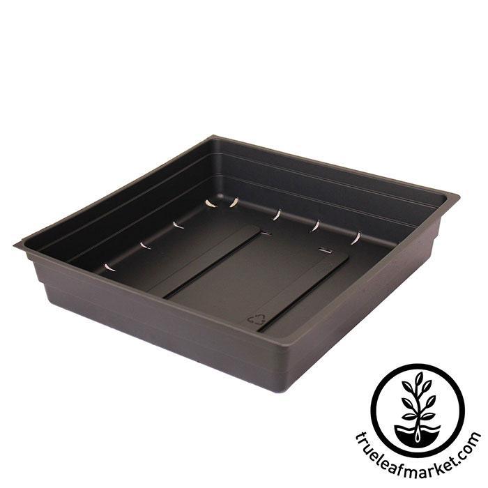 1010 Seed Starting Trays  Order Extra-Strength 10x10 Trays