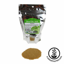 Amaranth Sprouting Grain: Organic 1 lb