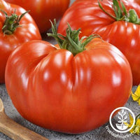 Purely Organic Ponderosa Red Beefsteak Tomato Seeds - USDA Organic, No –  SimplyGro