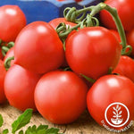 Tomato Seeds - Riesenstraube
