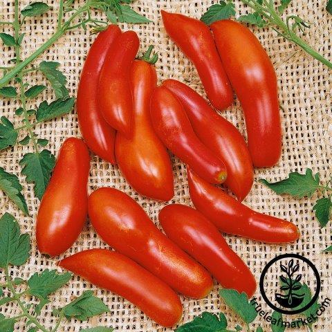 Tomato Seeds - Sausage