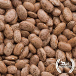 Bean Seeds - Shell - Pinto - Organic - Close Up