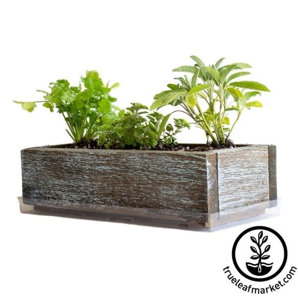 Barnwood Style Planter In Use