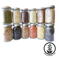 Clearance - .75-1 oz Wide Mouth Glass Jars