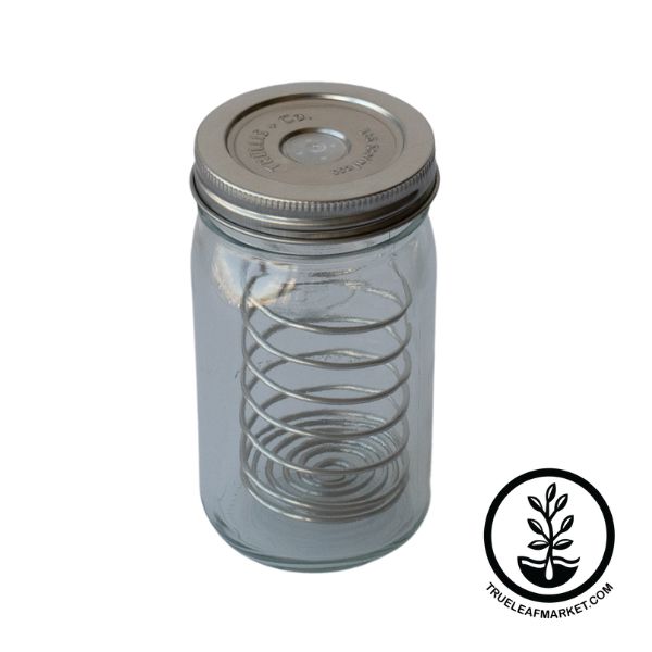 True North Jewel Teal Mason Jar (Stainless Steel)