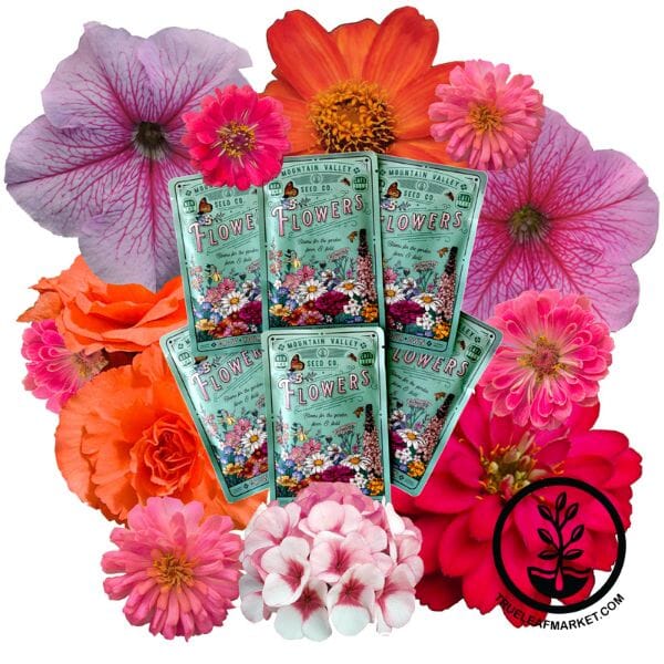 Sweethearts Flower Collection  6 Seed Varieties for Your