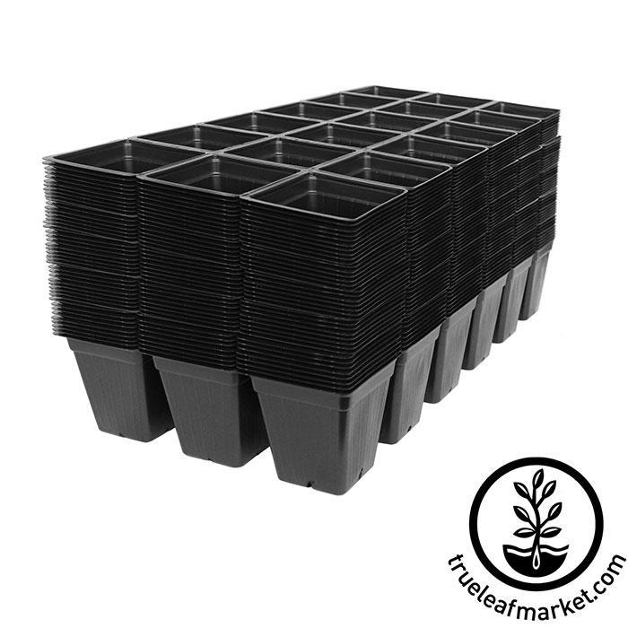 1020 No Drainage Black Plastic Carrier Trays 12 Count