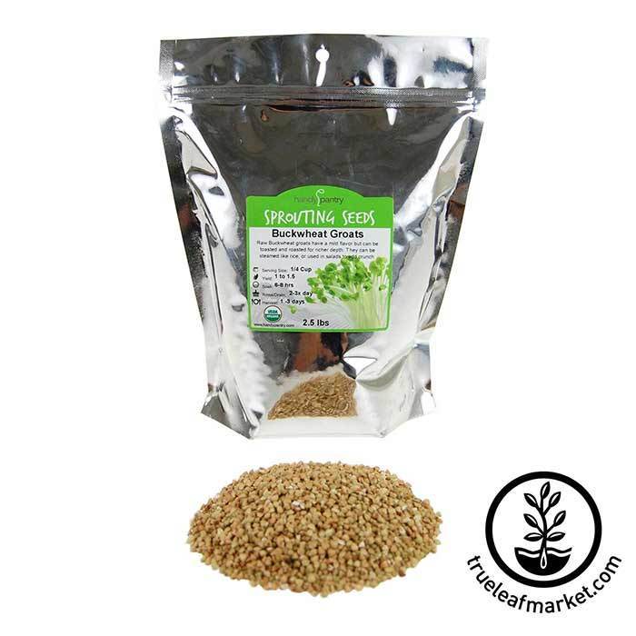 Buckwheat, Unhulled for Sprouting, Organic 1 lb