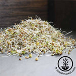3 Part Sprouting Seed Mix - Sprouts