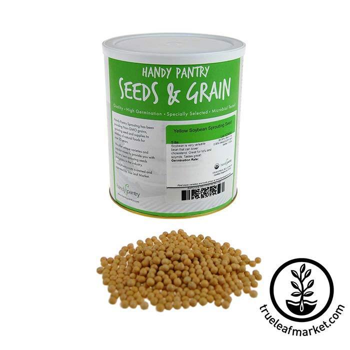 Yellow Soybeans (Organic) - Bulk Grains & Foods