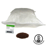 Lentils - Red Sprouting Seed - Organic 50 lb